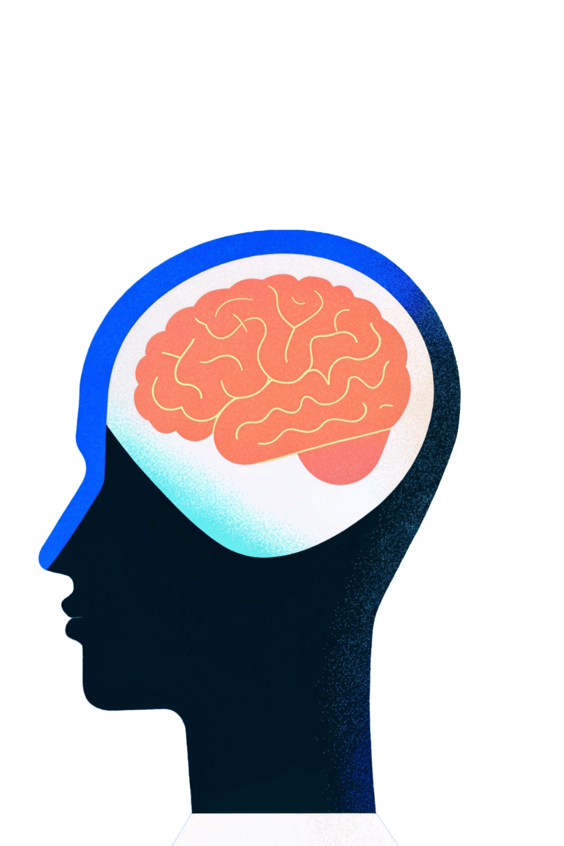 Brain Personality With Simple